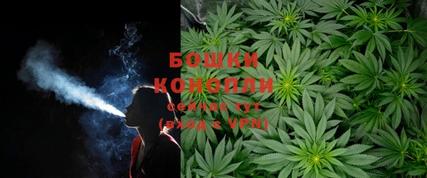 прущая мука Бородино