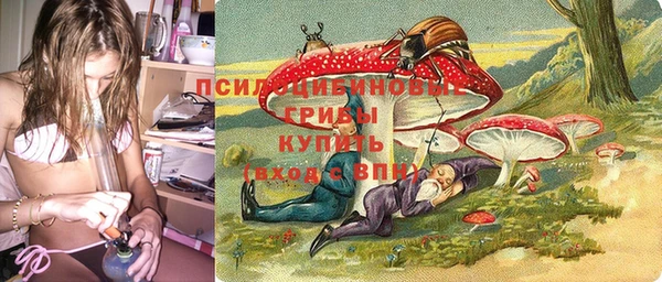 прущая мука Бородино